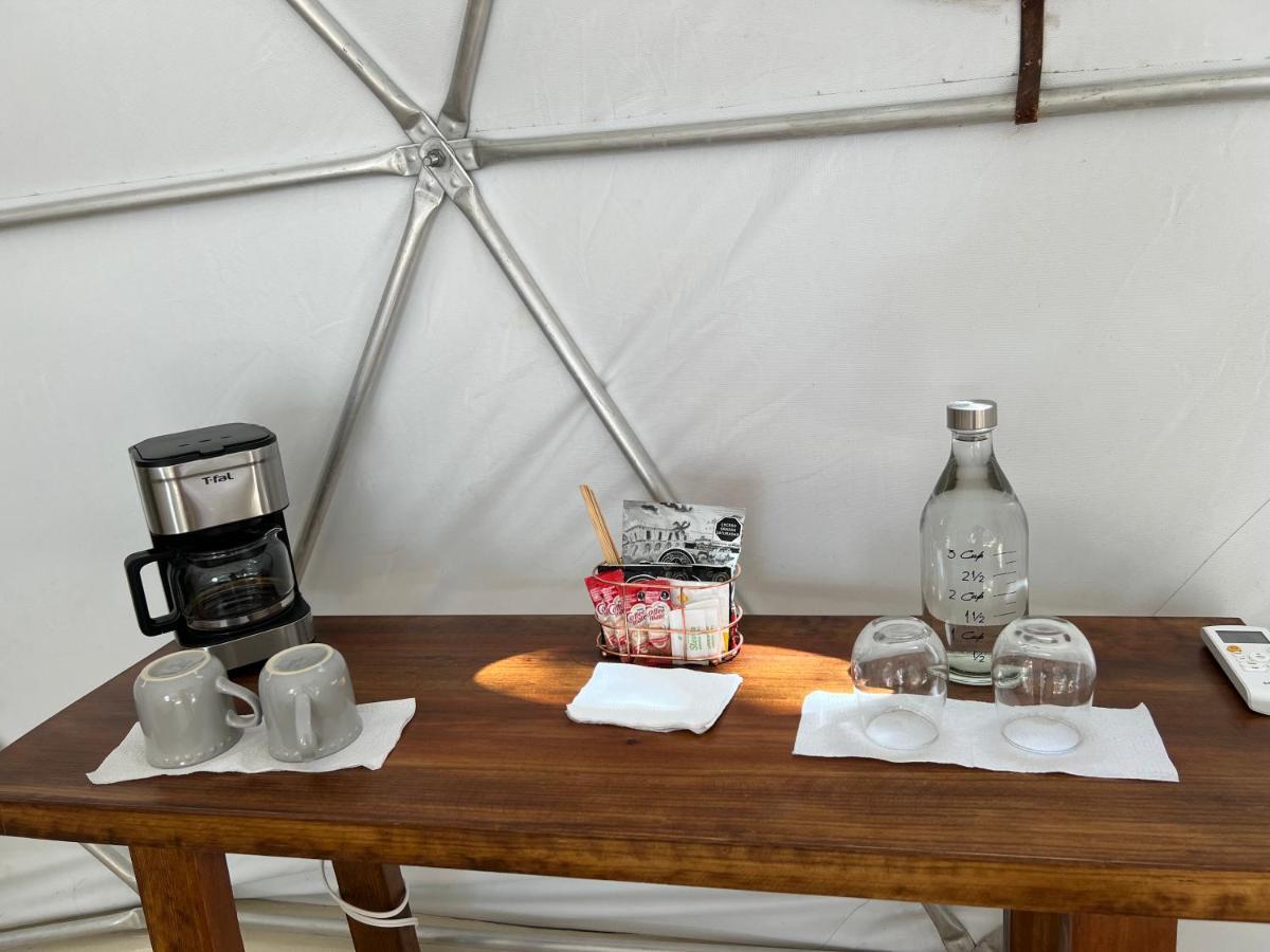 Glamping Mayan Glam トゥルム エクステリア 写真
