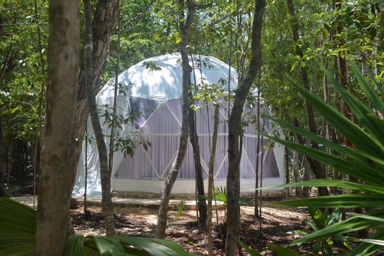 Glamping Mayan Glam トゥルム エクステリア 写真