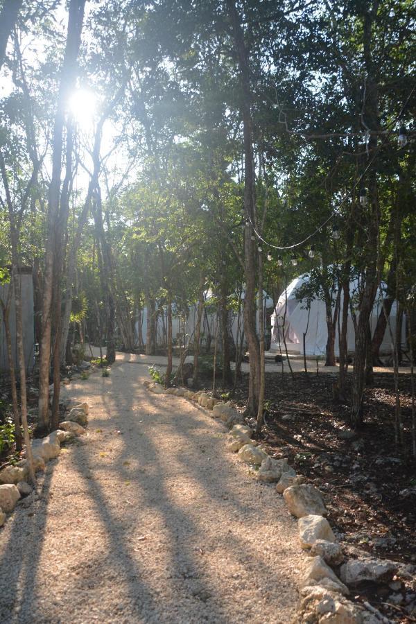 Glamping Mayan Glam トゥルム エクステリア 写真