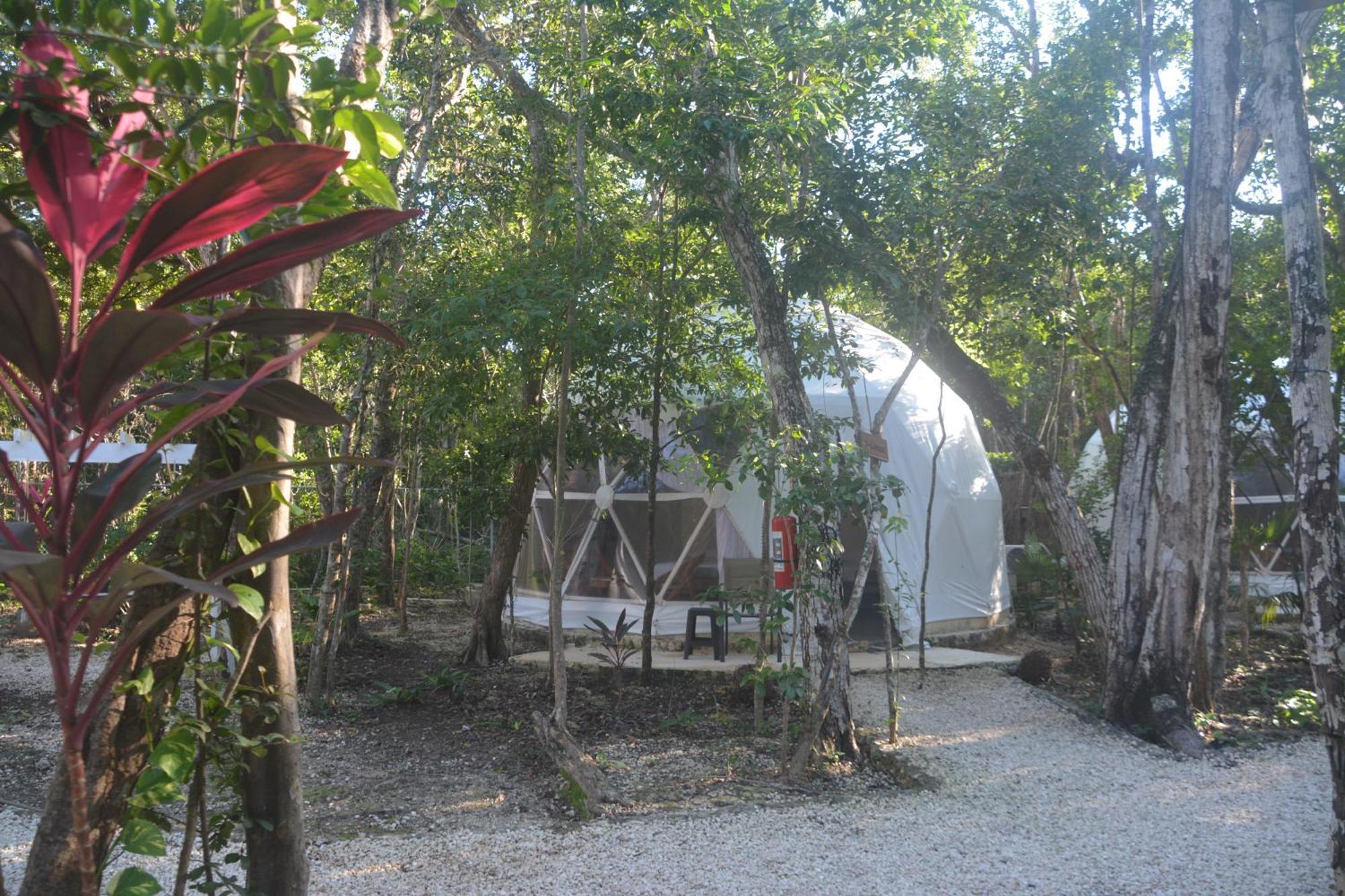 Glamping Mayan Glam トゥルム エクステリア 写真