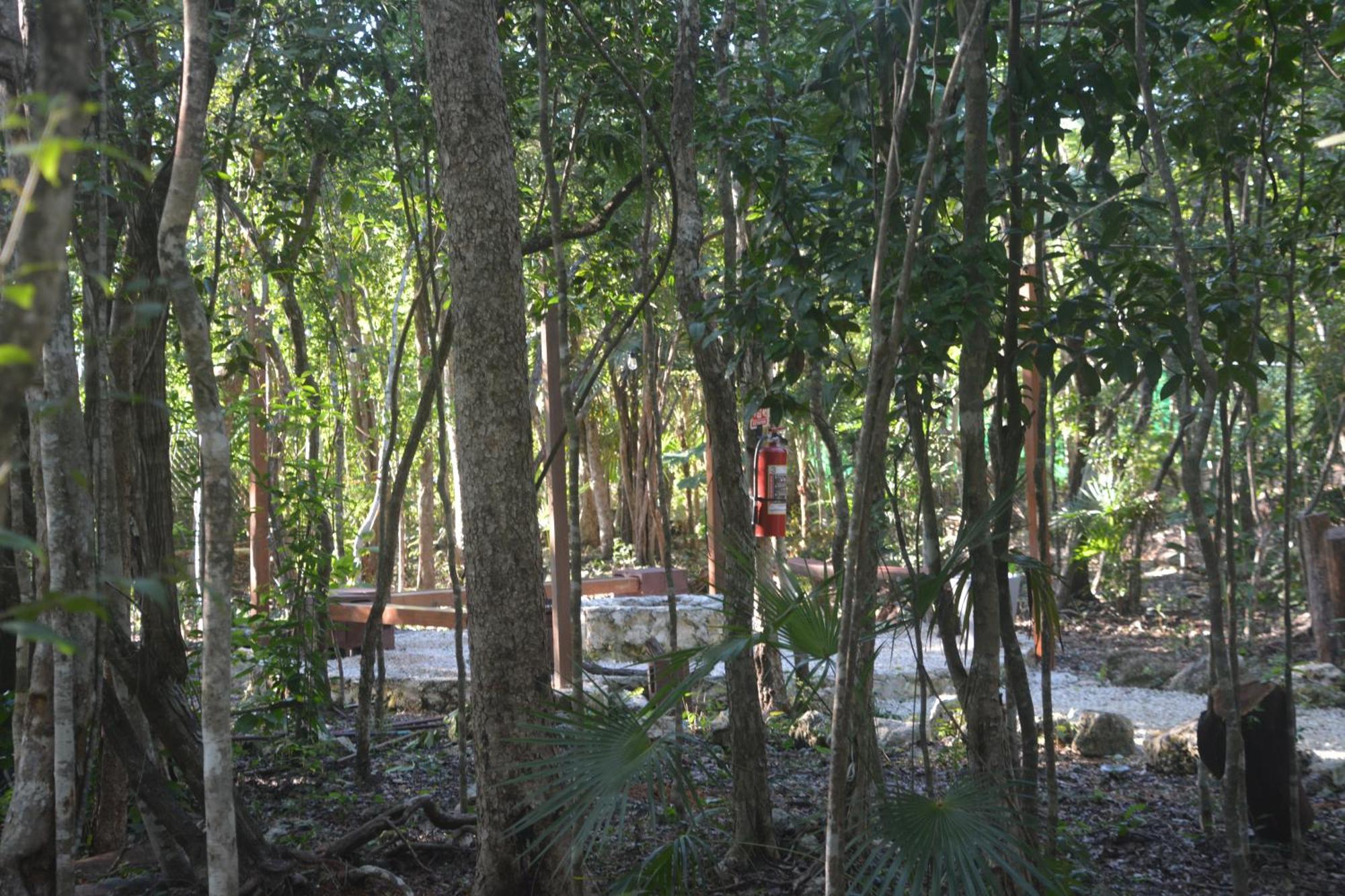 Glamping Mayan Glam トゥルム エクステリア 写真